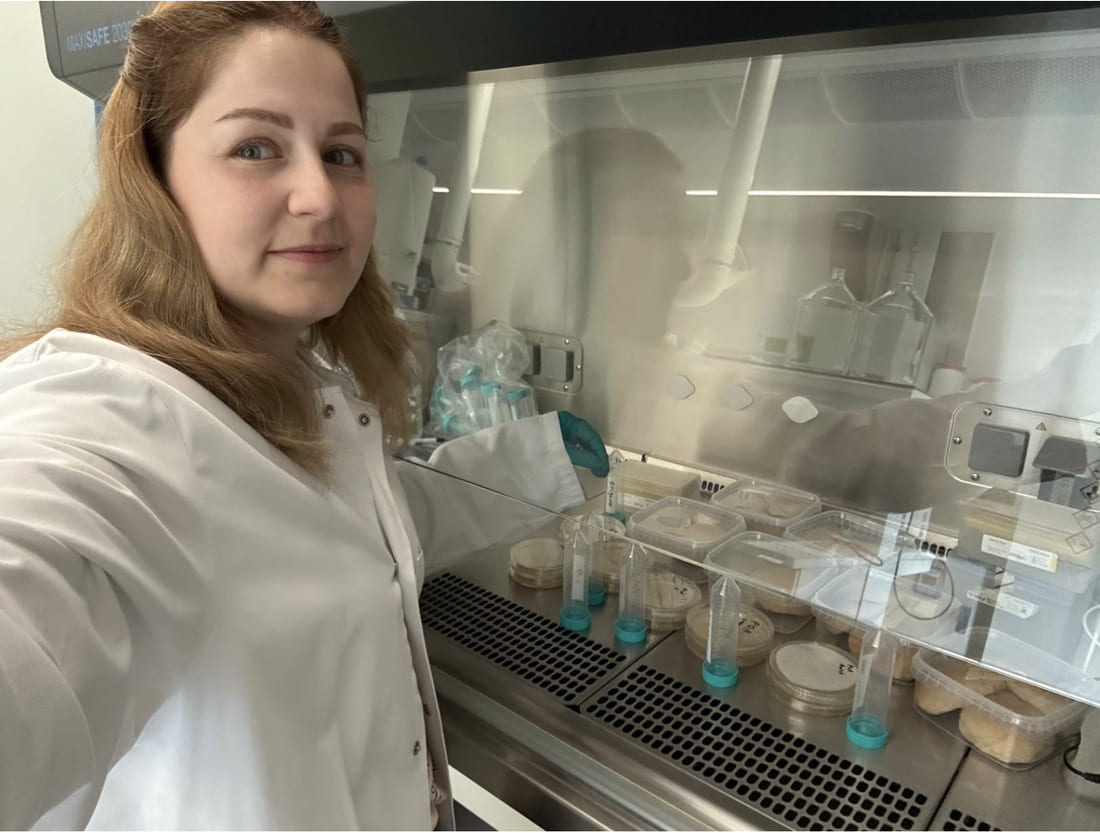 Rama Kadri i laboratoriet ved en sikkerhedsbænk med prøver af boller i bokse
